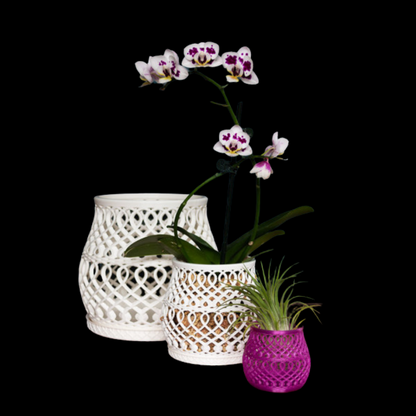 Artistry Collection: Orchids 3D Pot