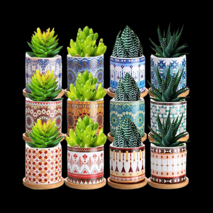 Artistry Collection: Ceramic Pots