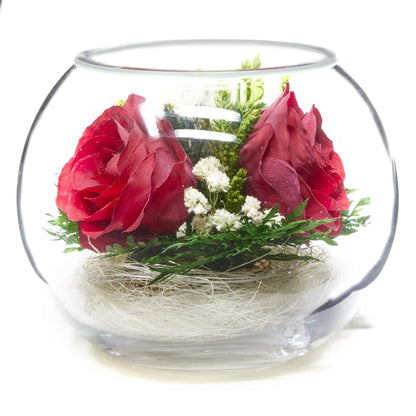 A Collector’s Gift: Premium Fresh Cut Preserved Flower Bouquet in a Sealed Glass Vase | Long Lasting Bouquet Orchids and Roses Stays Fresh for 5+ Years | No Water Needed | Unique Gift for Women Gifts Amazon 