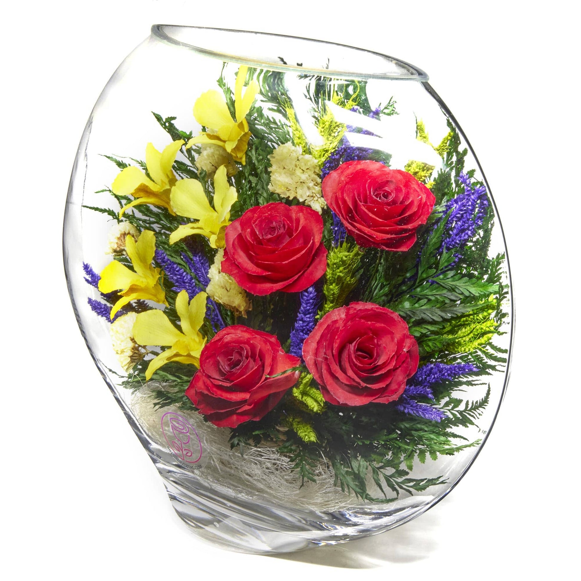 A Collector’s Gift: Premium Fresh Cut Preserved Flower Bouquet in a Sealed Glass Vase | Long Lasting Bouquet Orchids and Roses Stays Fresh for 5+ Years | No Water Needed | Unique Gift for Women Gifts Amazon 