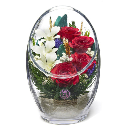 A Collector’s Gift: Premium Fresh Cut Preserved Flower Bouquet in a Sealed Glass Vase | Long Lasting Bouquet Orchids and Roses Stays Fresh for 5+ Years | No Water Needed | Unique Gift for Women Gifts Amazon Novella Red & White 