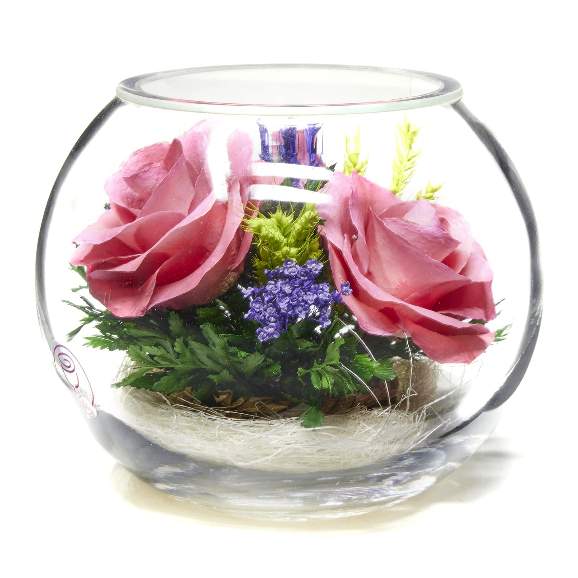 A Collector’s Gift: Premium Fresh Cut Preserved Flower Bouquet in a Sealed Glass Vase | Long Lasting Bouquet Orchids and Roses Stays Fresh for 5+ Years | No Water Needed | Unique Gift for Women Gifts Amazon Elegant Pink 