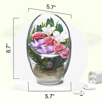 A Collector’s Gift: Premium Fresh Cut Preserved Flower Bouquet in a Sealed Glass Vase | Long Lasting Bouquet Orchids and Roses Stays Fresh for 5+ Years | No Water Needed | Unique Gift for Women Gifts Amazon 