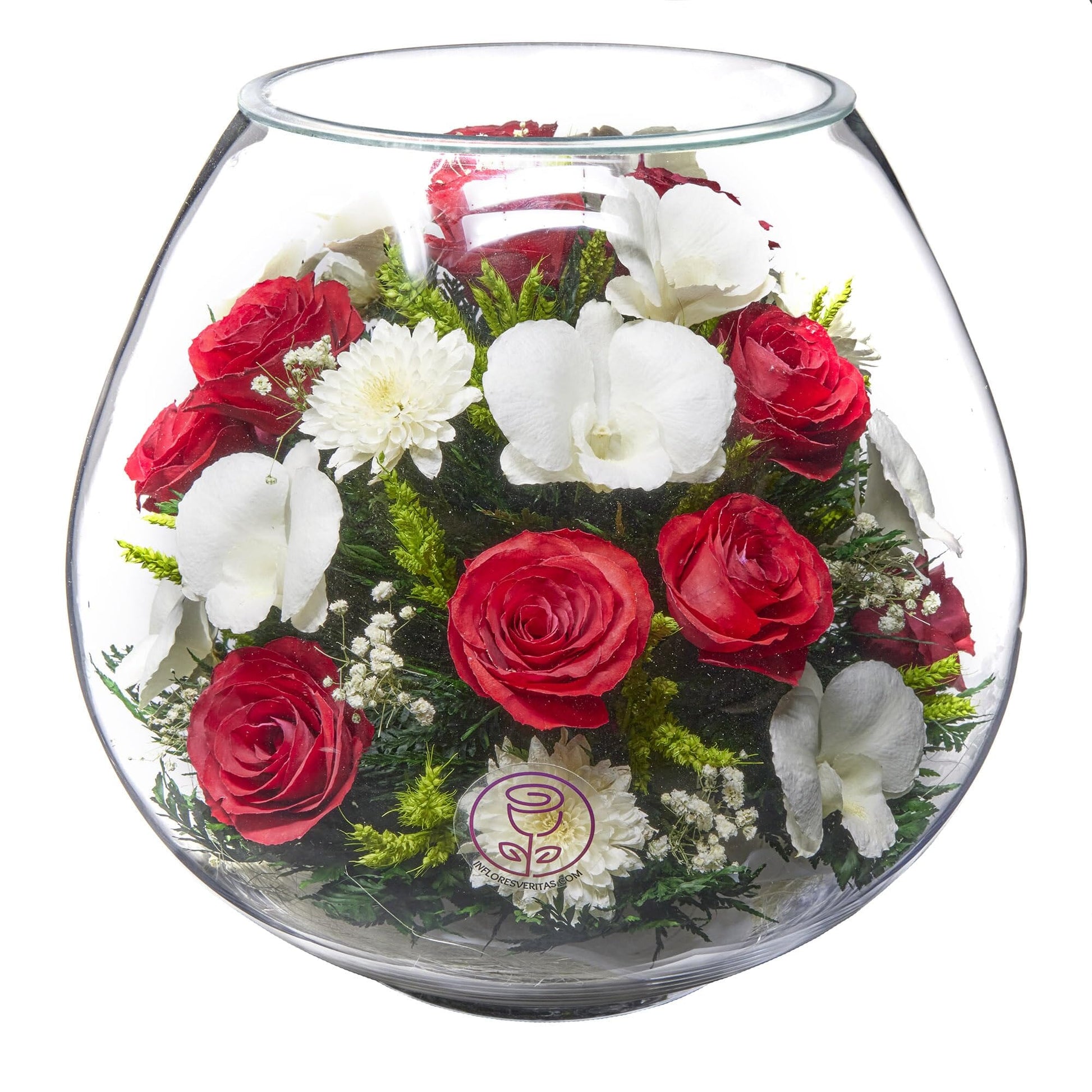 A Collector’s Gift: Premium Fresh Cut Preserved Flower Bouquet in a Sealed Glass Vase | Long Lasting Bouquet Orchids and Roses Stays Fresh for 5+ Years | No Water Needed | Unique Gift for Women Gifts Amazon Extravaganza Red & White 