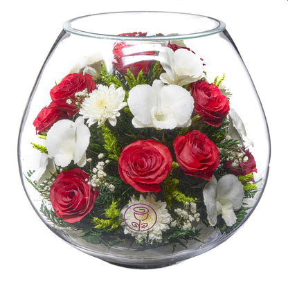 A Collector’s Gift: Premium Fresh Cut Preserved Flower Bouquet in a Sealed Glass Vase | Long Lasting Bouquet Orchids and Roses Stays Fresh for 5+ Years | No Water Needed | Unique Gift for Women Gifts Amazon Extravaganza Red & White 