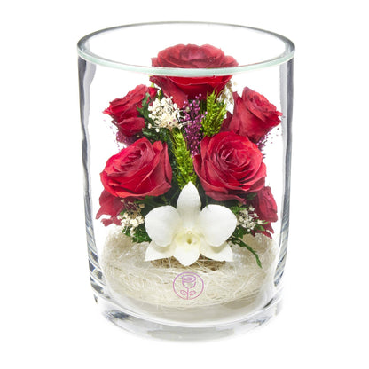 A Collector’s Gift: Premium Fresh Cut Preserved Flower Bouquet in a Sealed Glass Vase | Long Lasting Bouquet Orchids and Roses Stays Fresh for 5+ Years | No Water Needed | Unique Gift for Women Gifts Amazon Sarenade Red & White 