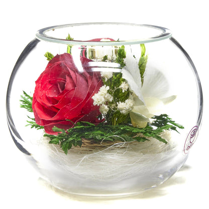 A Collector’s Gift: Premium Fresh Cut Preserved Flower Bouquet in a Sealed Glass Vase | Long Lasting Bouquet Orchids and Roses Stays Fresh for 5+ Years | No Water Needed | Unique Gift for Women Gifts Amazon 