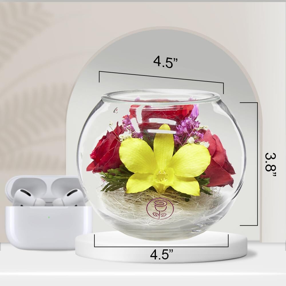 A Collector’s Gift: Premium Fresh Cut Preserved Flower Bouquet in a Sealed Glass Vase | Long Lasting Bouquet Orchids and Roses Stays Fresh for 5+ Years | No Water Needed | Unique Gift for Women Gifts Amazon 