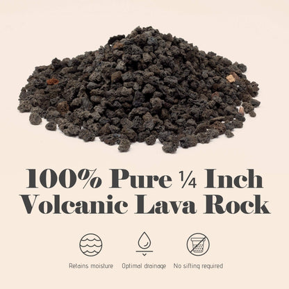 Black 1/4 inch Horticultural Lava Rock Soil Additive for Cacti, Succulents and Plants - No Dyes or Chemicals - 100% Pure Volcanic Rock (2 Dry Quarts) Orchid Potting Mix Amazon 