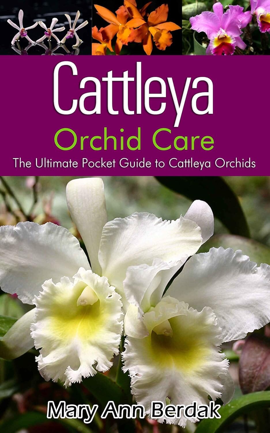 Orchids Book: Cattleya Orchid Care: The Ultimate Pocket Guide to Cattleya Orchids Books Amazon 