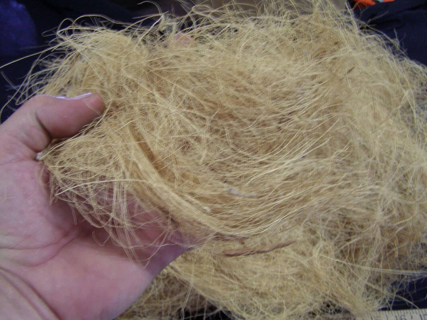 Orchids Supplies: Horticultural Coconut Husk Fiber. 1/2 Pound. Very Clean. Orchids, Crafts, Pet Bedding. Supplies Amazon 