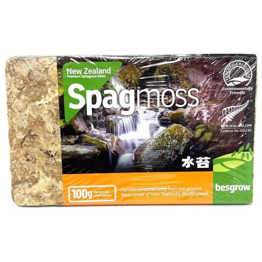 Orchids Supplies: Horticultural Sphagnum Moss Premium New Zealand, 100g - 8L When Hydrated Supplies Amazon 100 Grams 