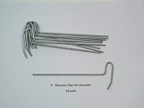 Orchids Supplies: Rhizomes Clips for Clay Pots 5” 10 pack Supplies Amazon 