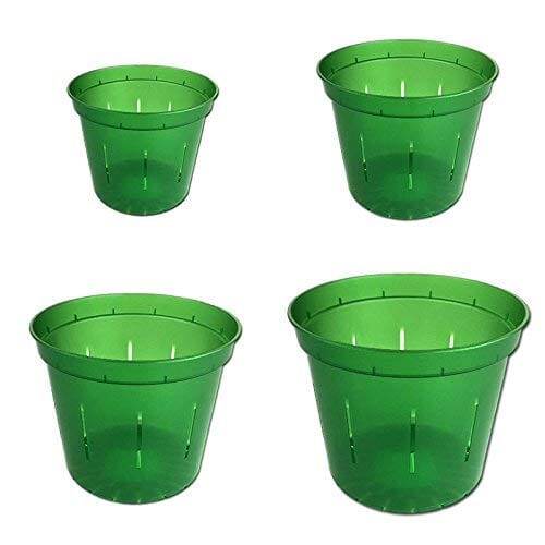 rePotme Orchid Pot Growers Assortment (8 Slotted Clear Orchid Pots - 2 Each of 3, 4, 5, 6 Inch) - Premium Orchid Planters, Orchid Pots with Holes for Repotting Pots Amazon Green Emerald 