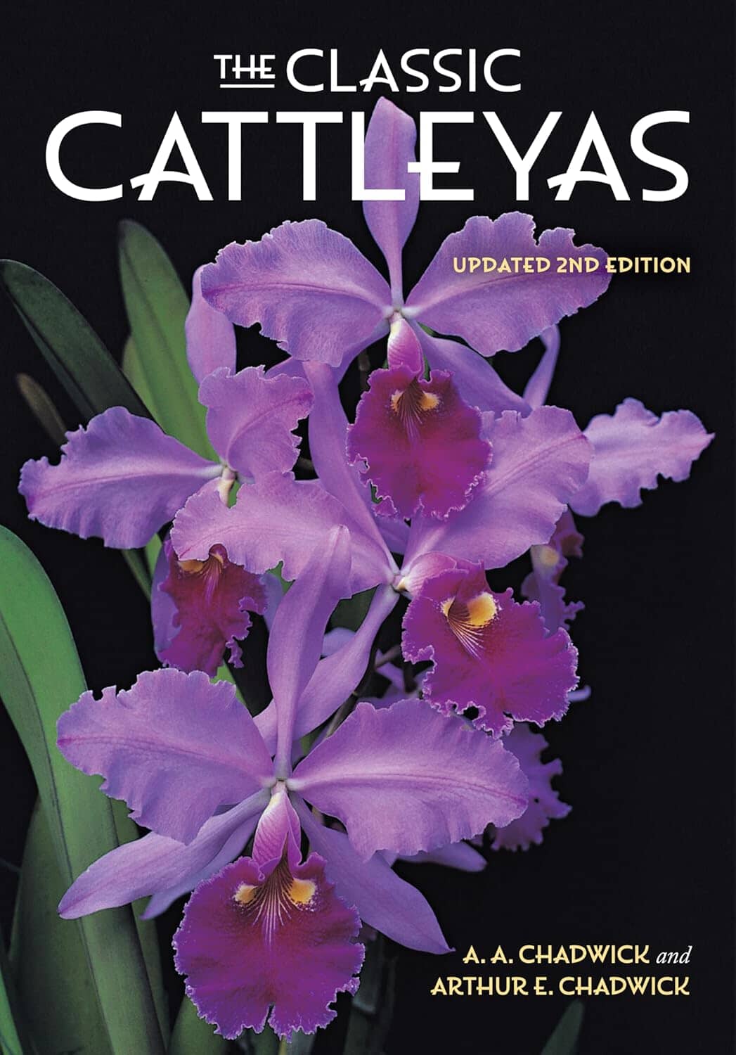 The Classic Cattleyas La Foresta Orchids 