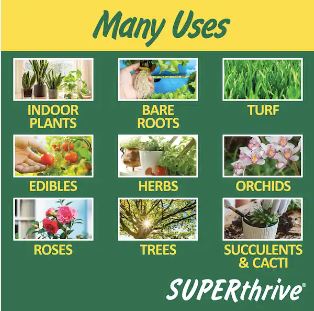 Fertilizer Additives - Superthrive Vitamin Solution Additives La Foresta Orchids 