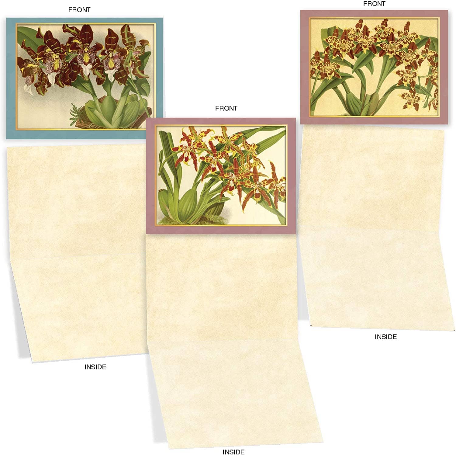 Vintage Orchid Note Card - Send a Message Gifts La Foresta Orchids 