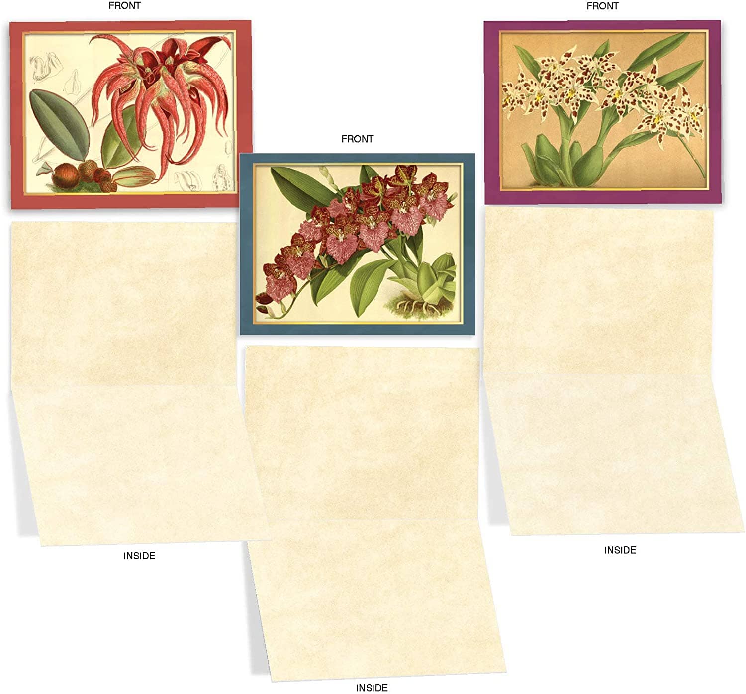 Vintage Orchid Note Card - Send a Message Gifts La Foresta Orchids 