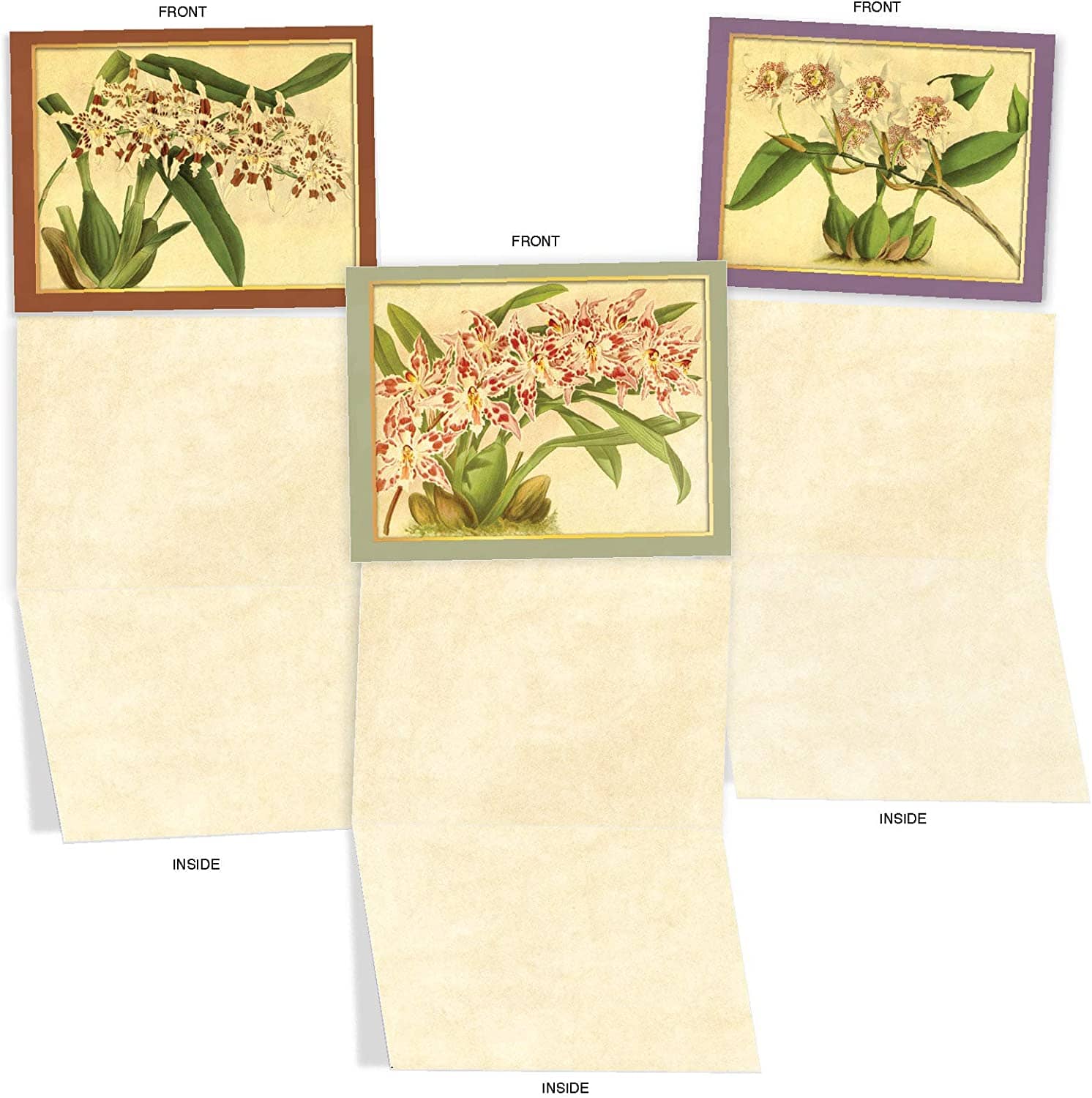 Vintage Orchid Note Card - Send a Message Gifts La Foresta Orchids 